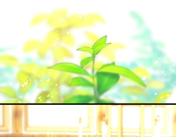 第120话 完美的生日