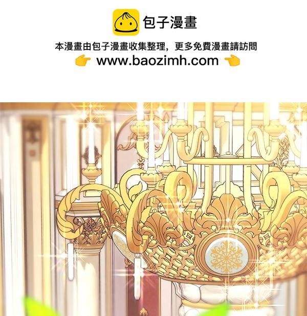 第120话 完美的生日
