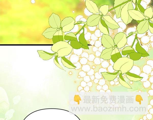 第125话 计划周全