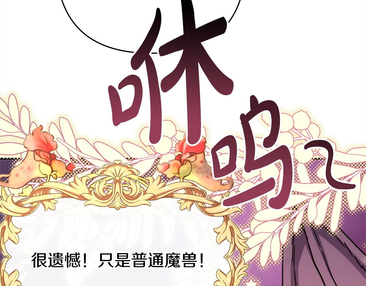 第74话 让骑士团看看我的能力