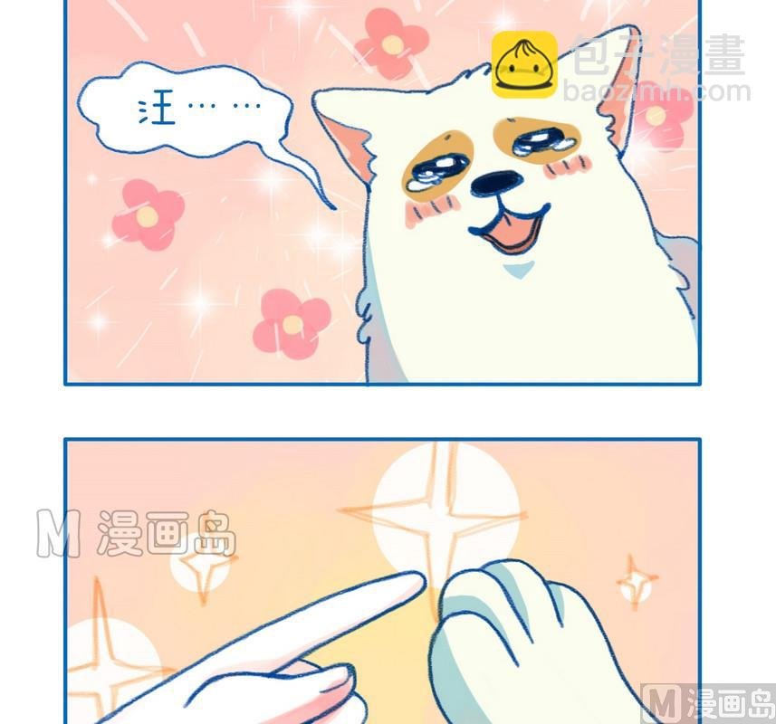 172敢抱狗