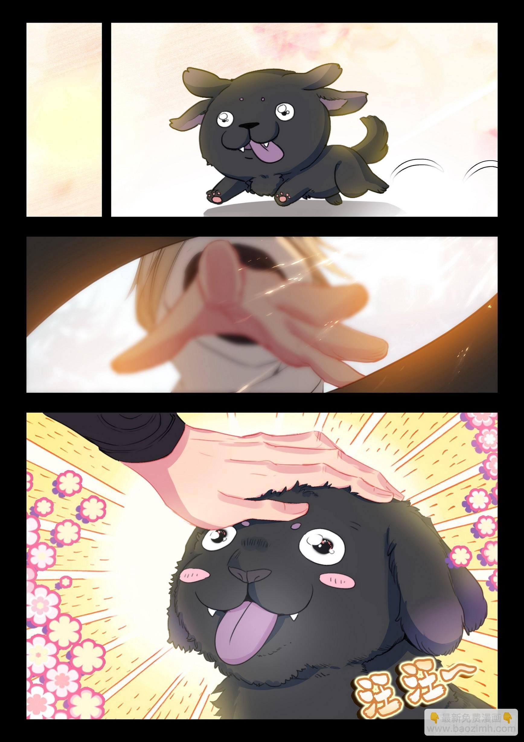 77 纠缠（下）