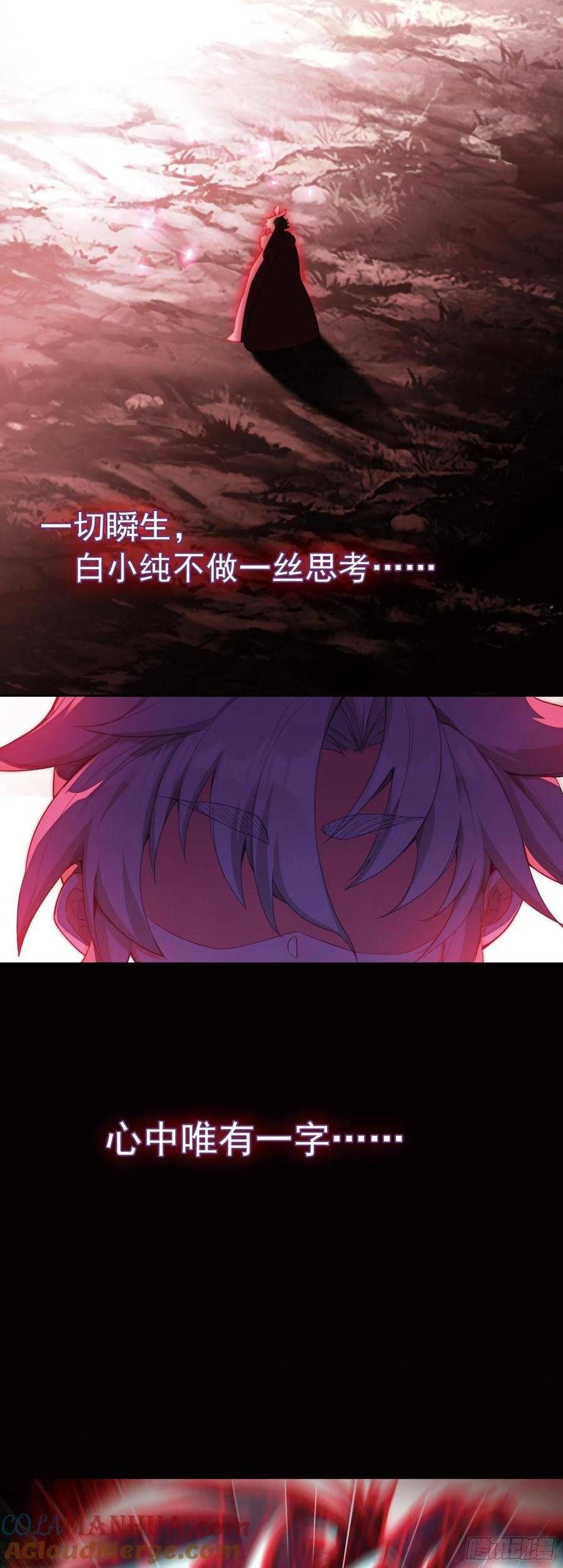 白小纯护法