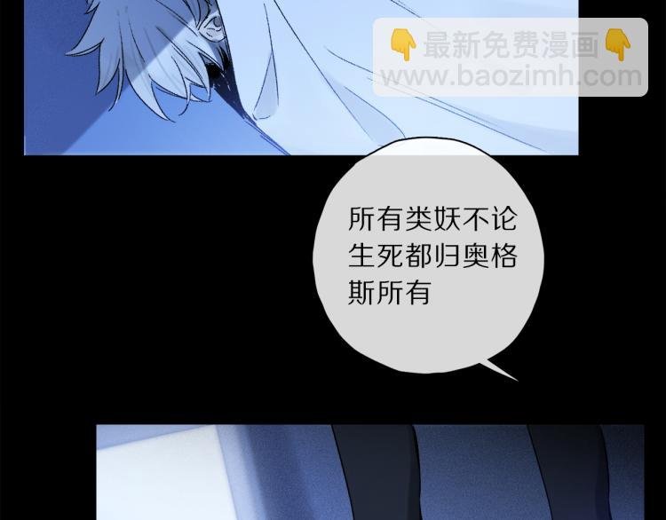第46话 黑狐的心脏