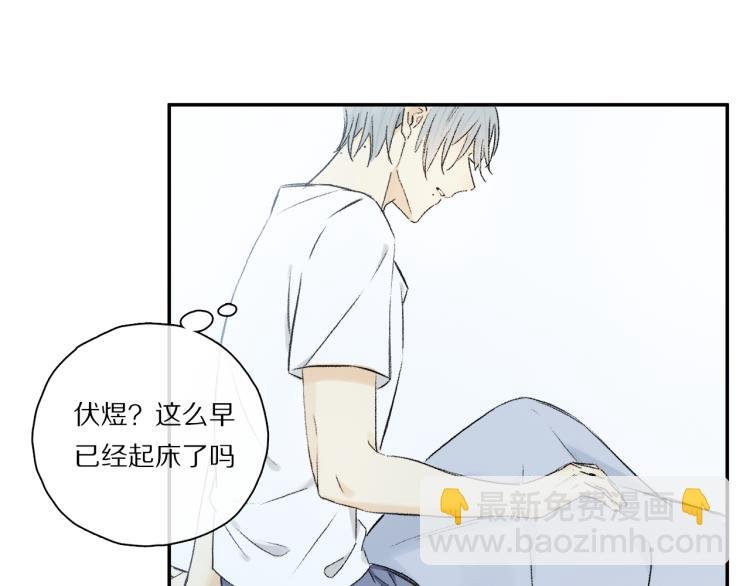 中秋特别篇：迷你狐出没！