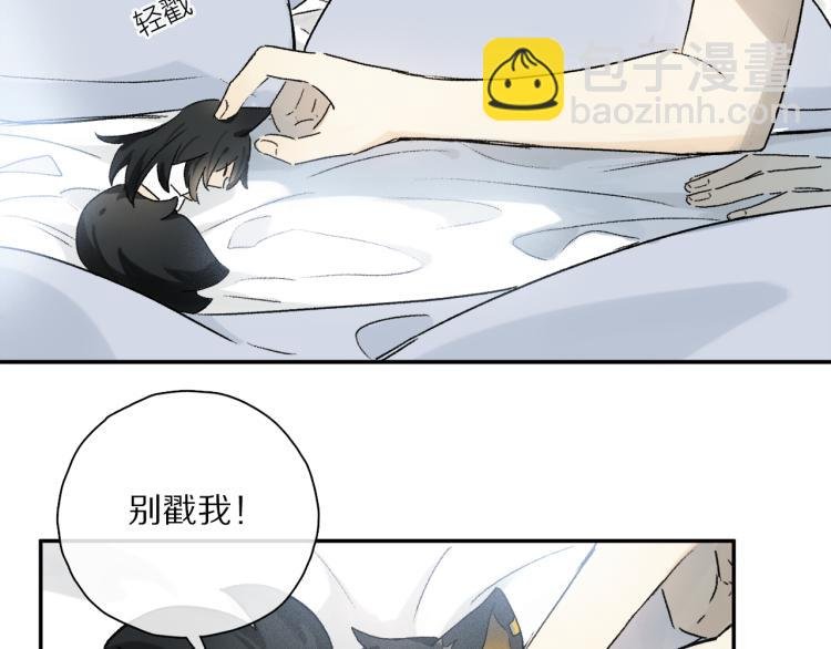 中秋特别篇：迷你狐出没！