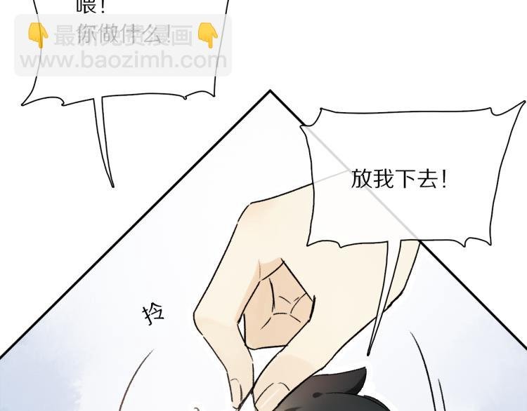 中秋特别篇：迷你狐出没！
