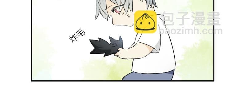 中秋特别篇：迷你狐出没！