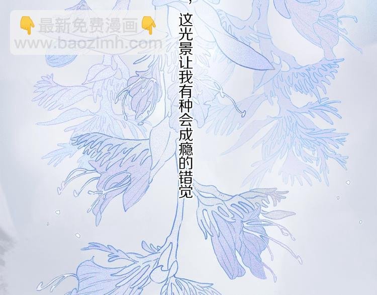 第29话 美丽的伤痕