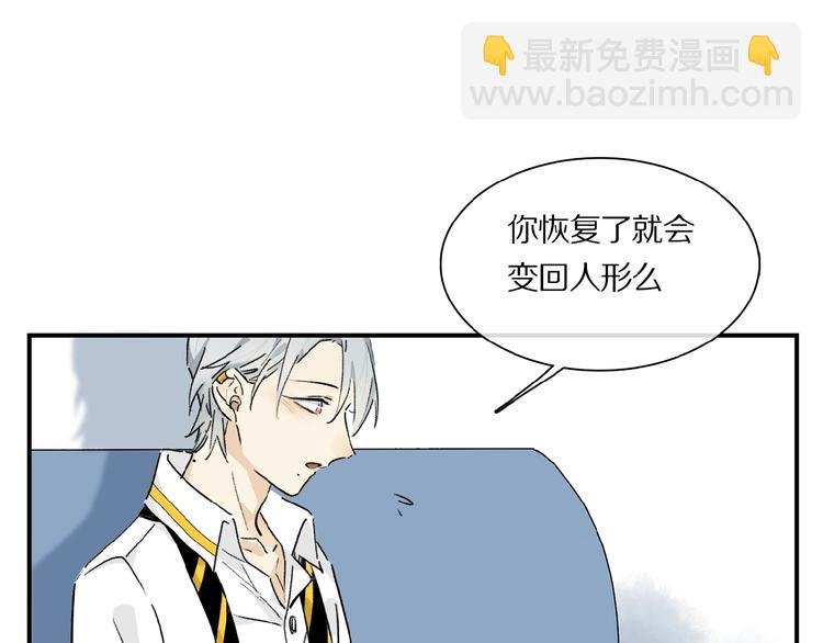 第29话 美丽的伤痕