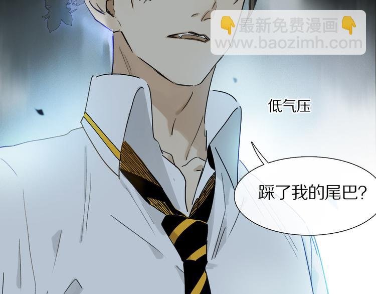 第5话 喜欢？