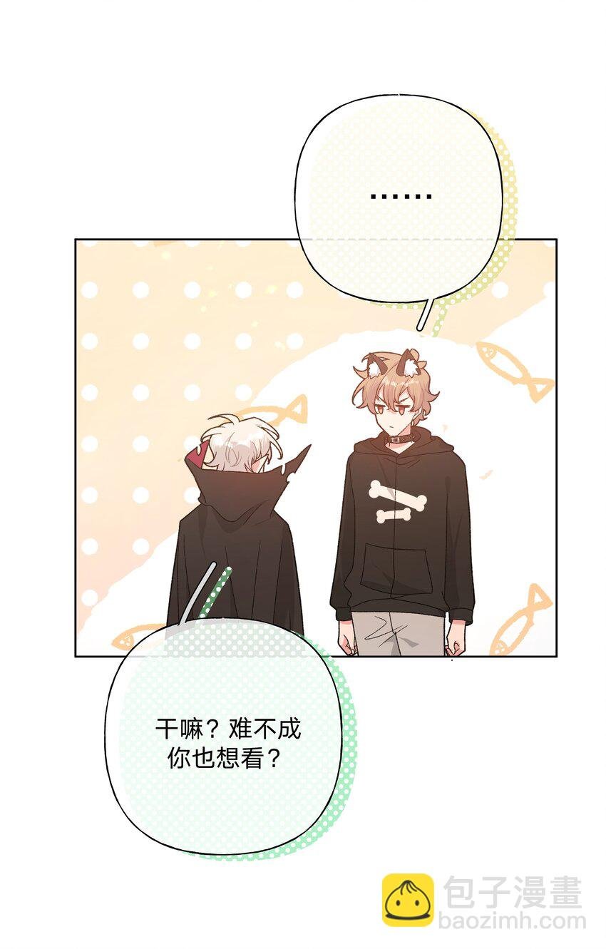 109 最好不要乱动