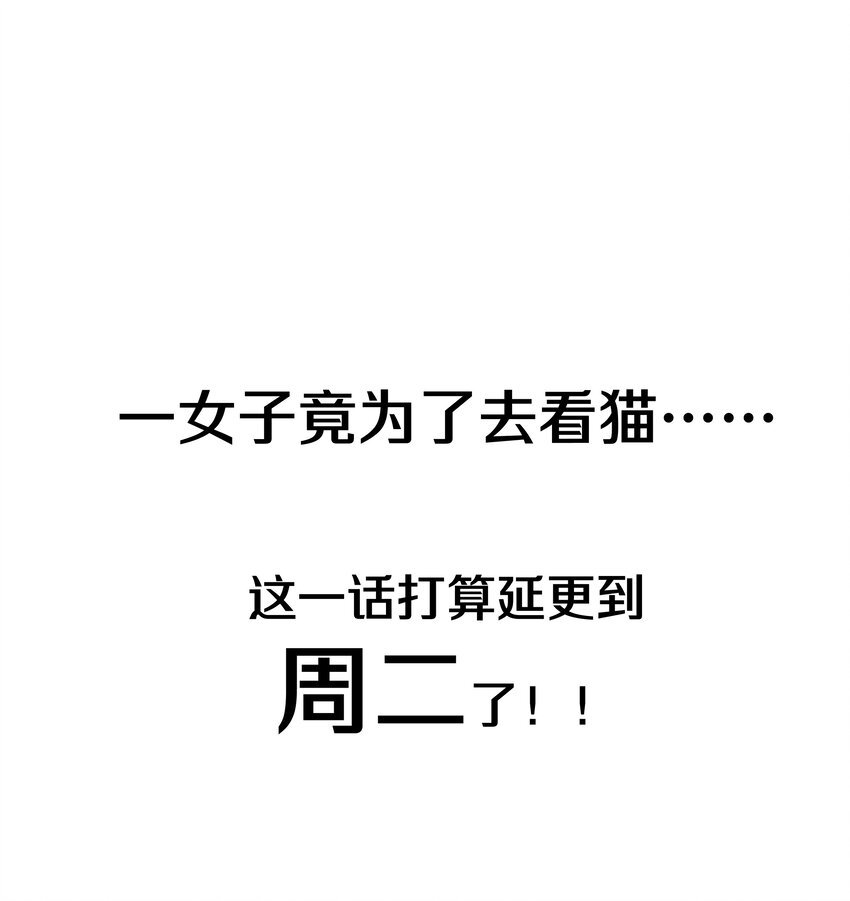调更 一女子 竟为了去看猫……
