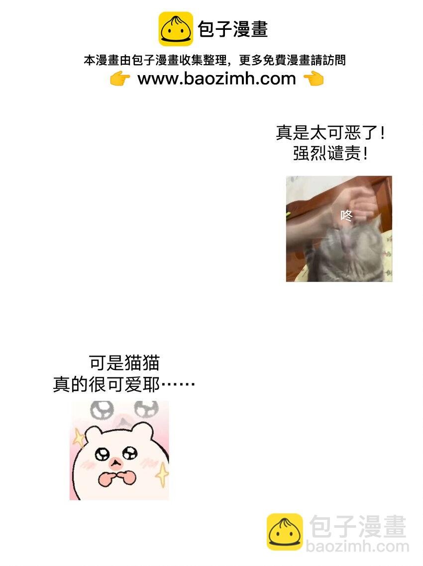 调更 一女子 竟为了去看猫……