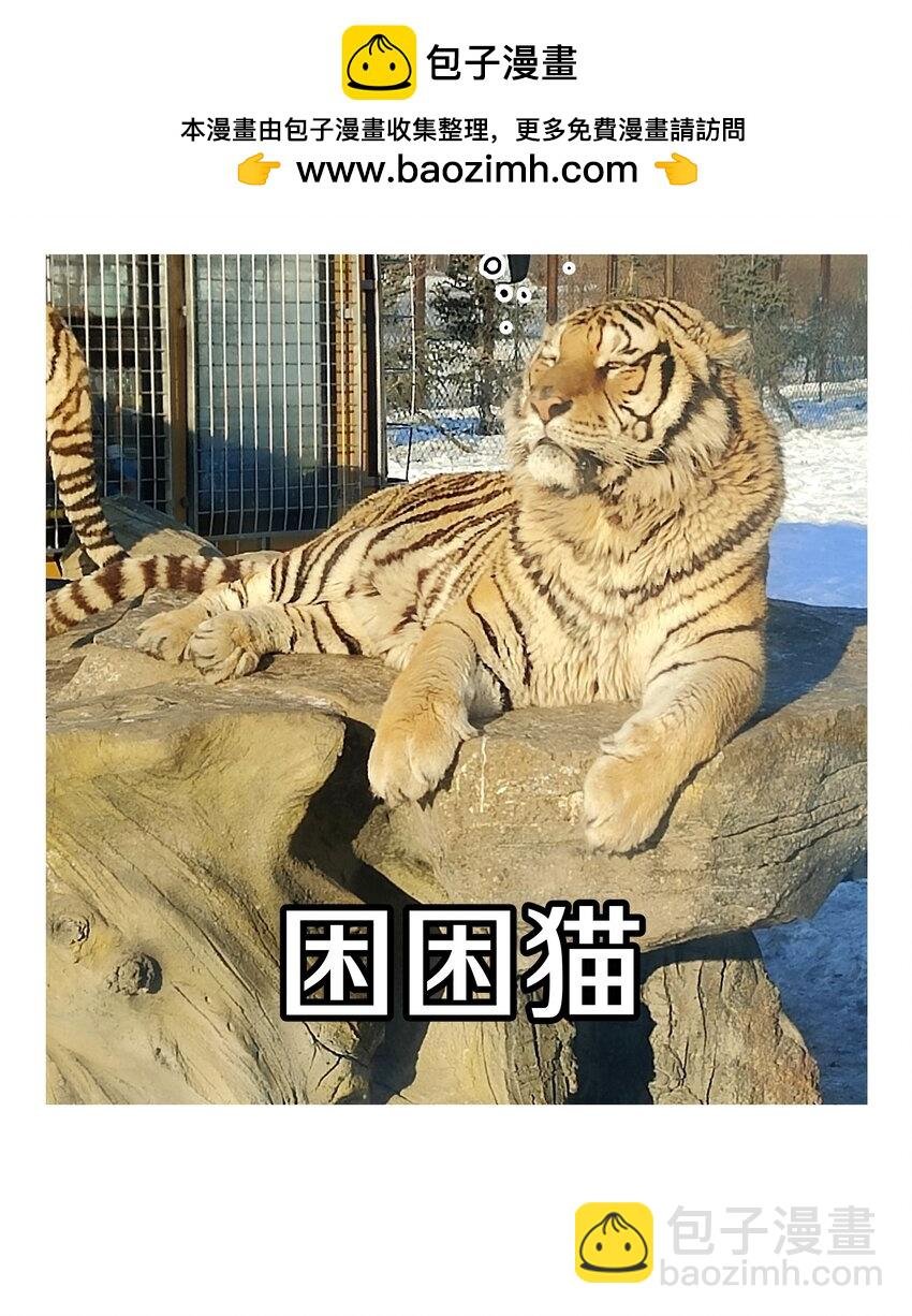 调更 一女子 竟为了去看猫……