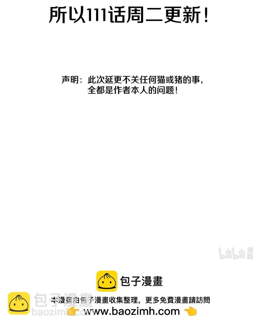 调更 一女子 竟为了去看猫……