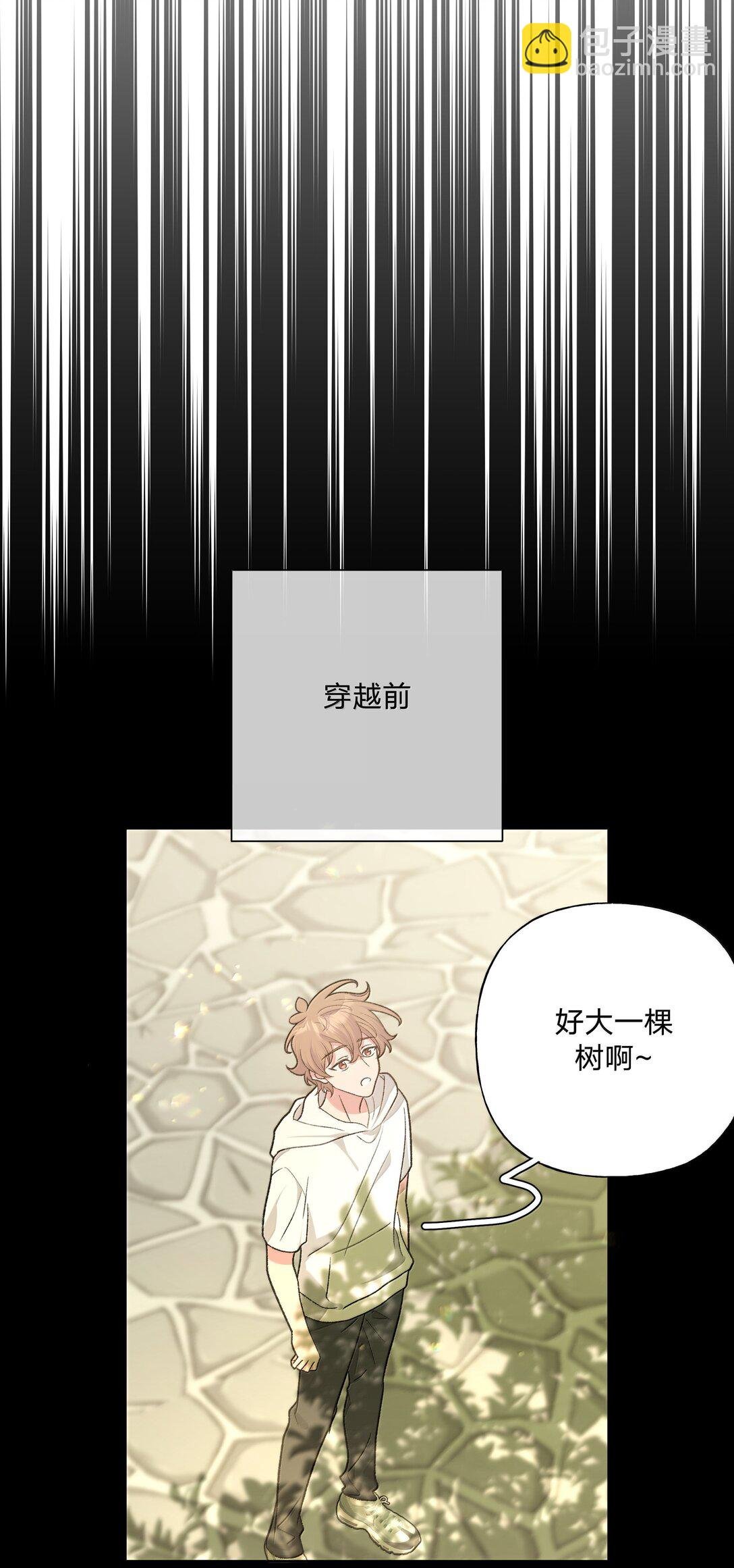 124 好大一棵树