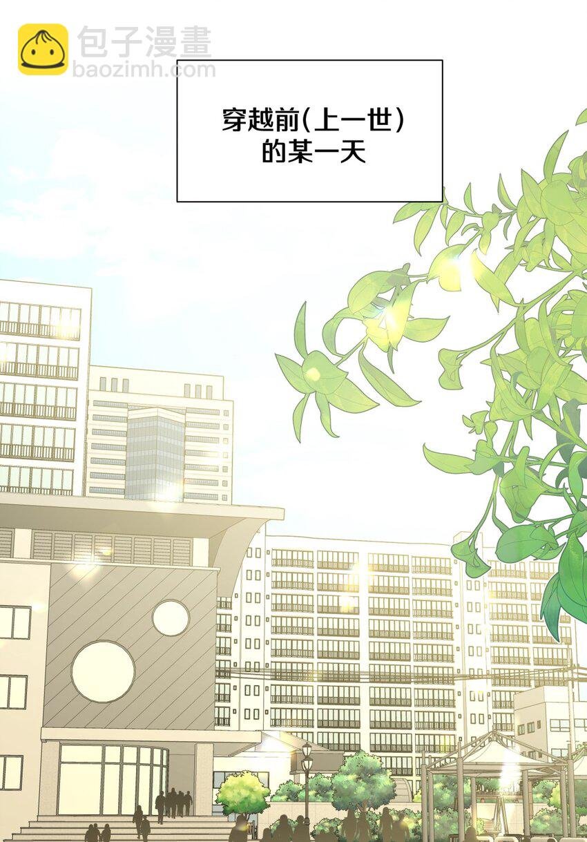 小番外 蜘蛛