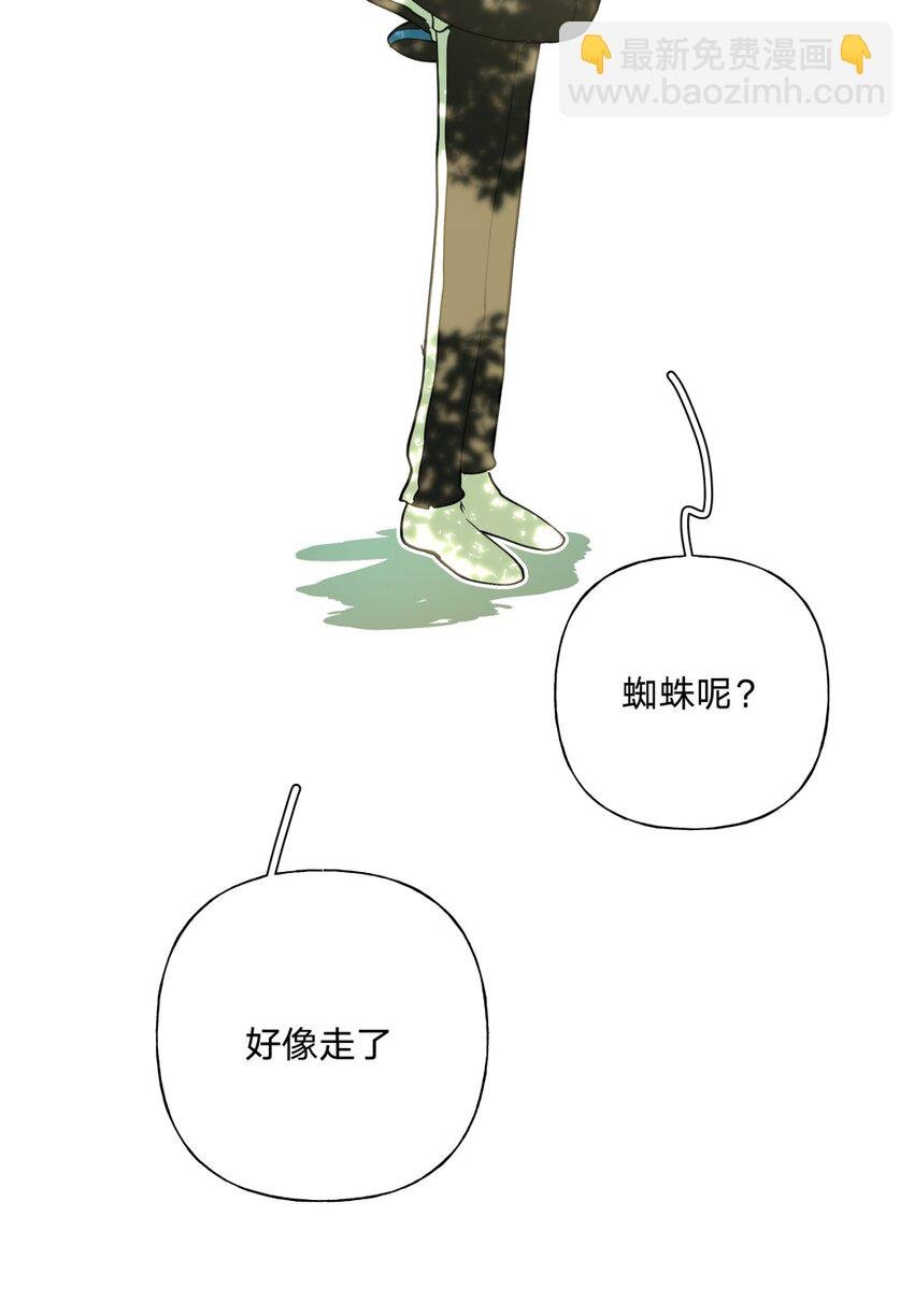 小番外 蜘蛛