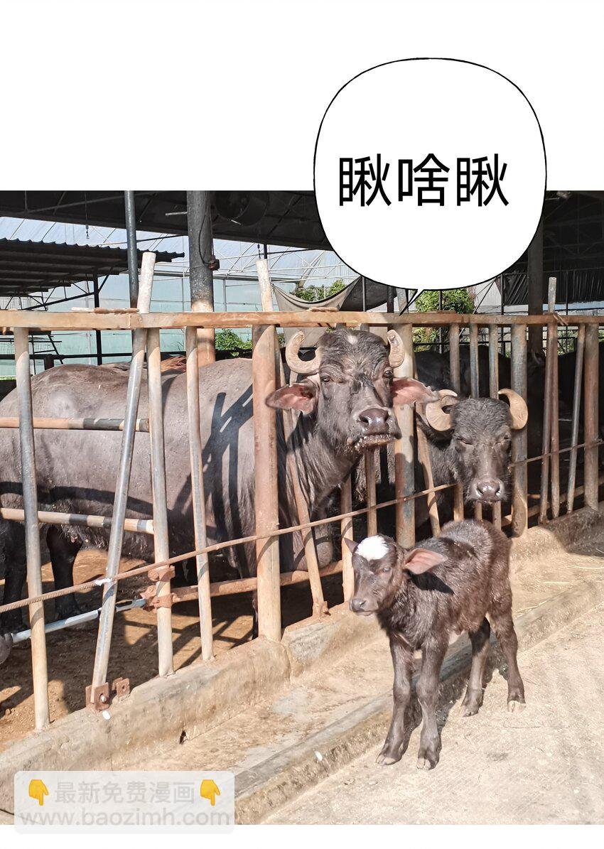 小番外 圣诞节