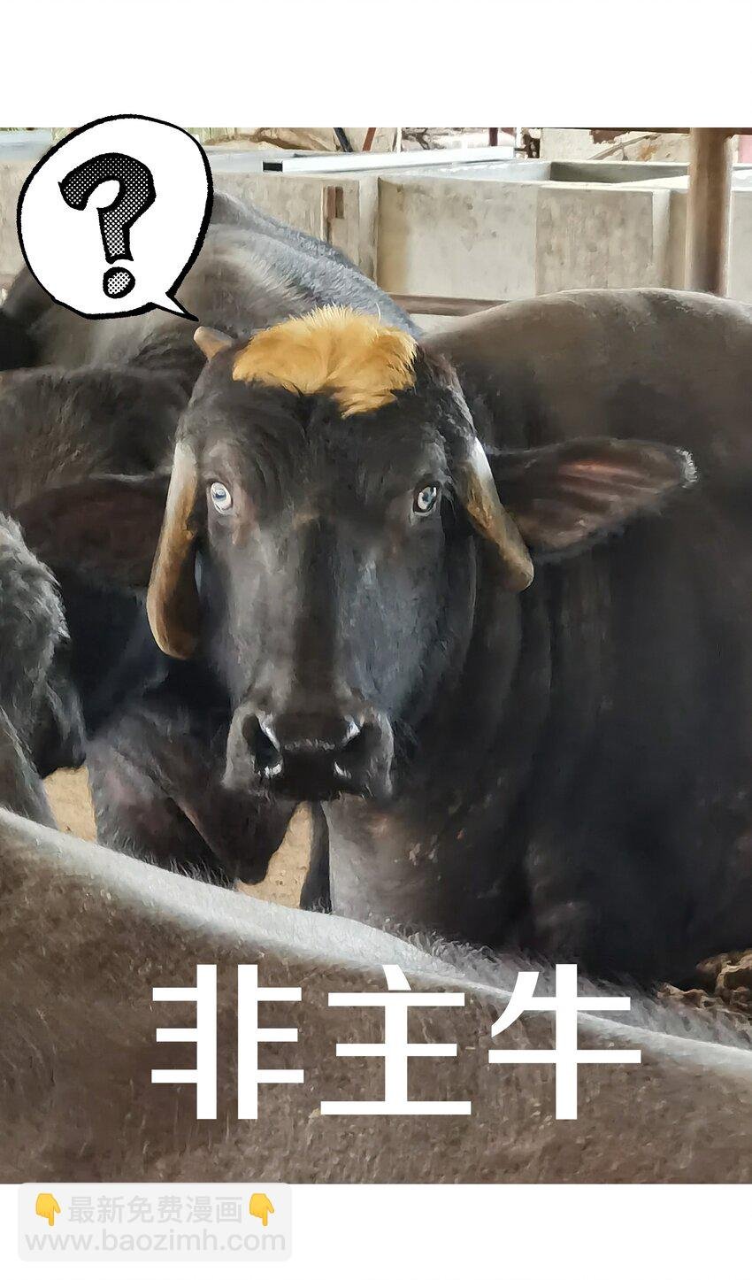 小番外 圣诞节