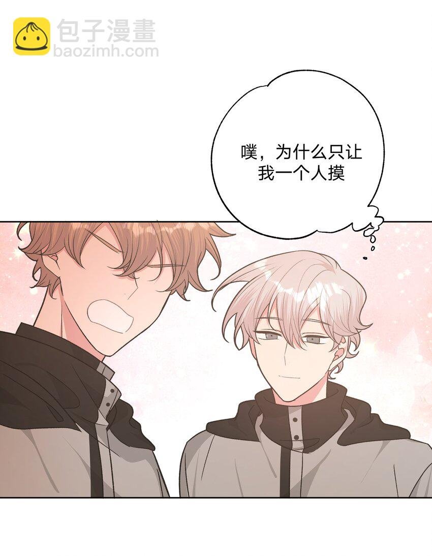 050 这张照片是怎么回事