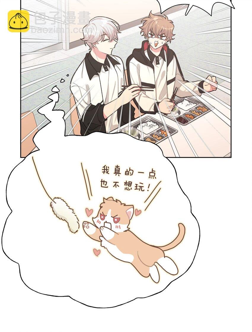 006 真的不用再喂了！