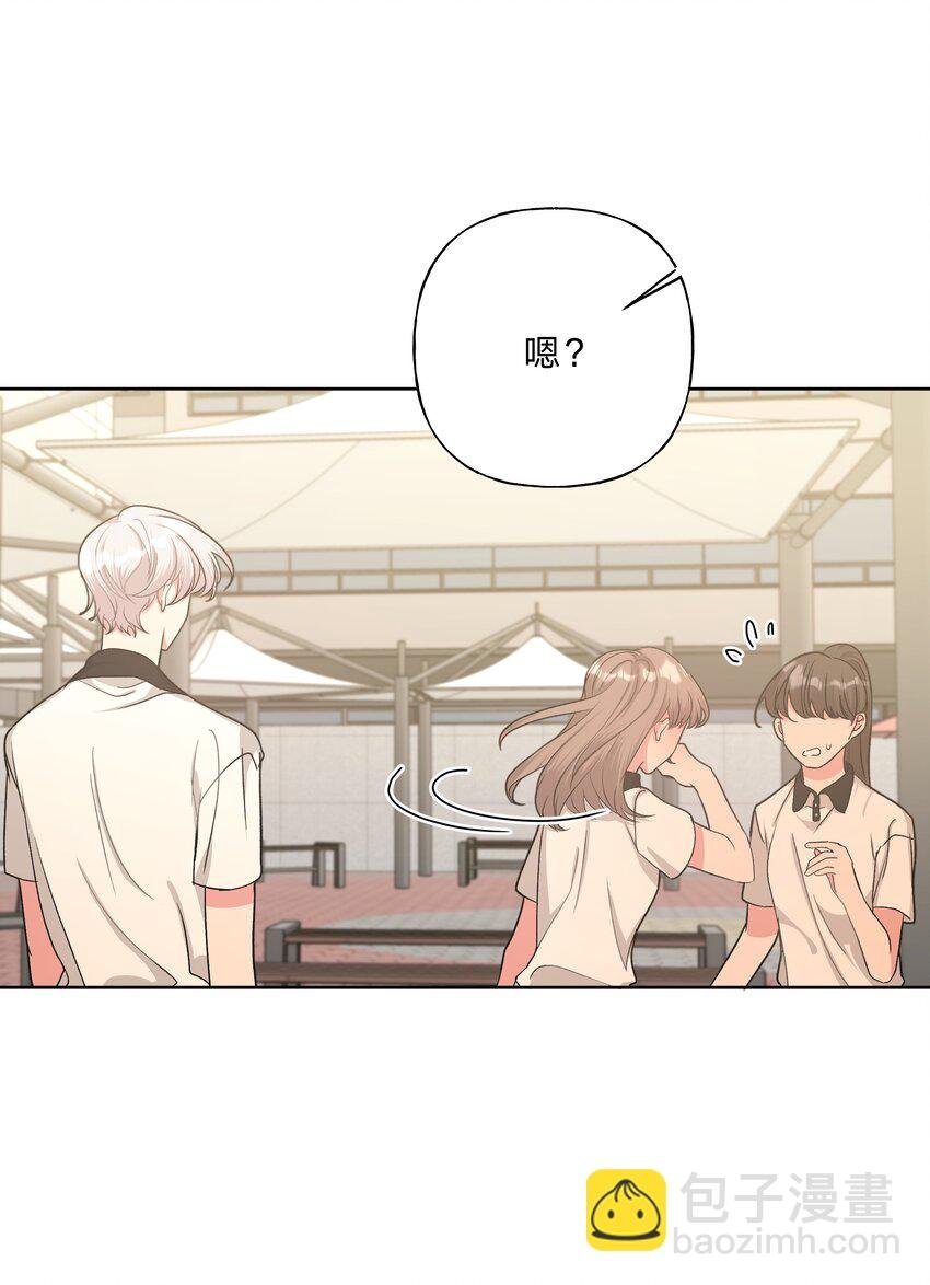 008 两只流浪猫