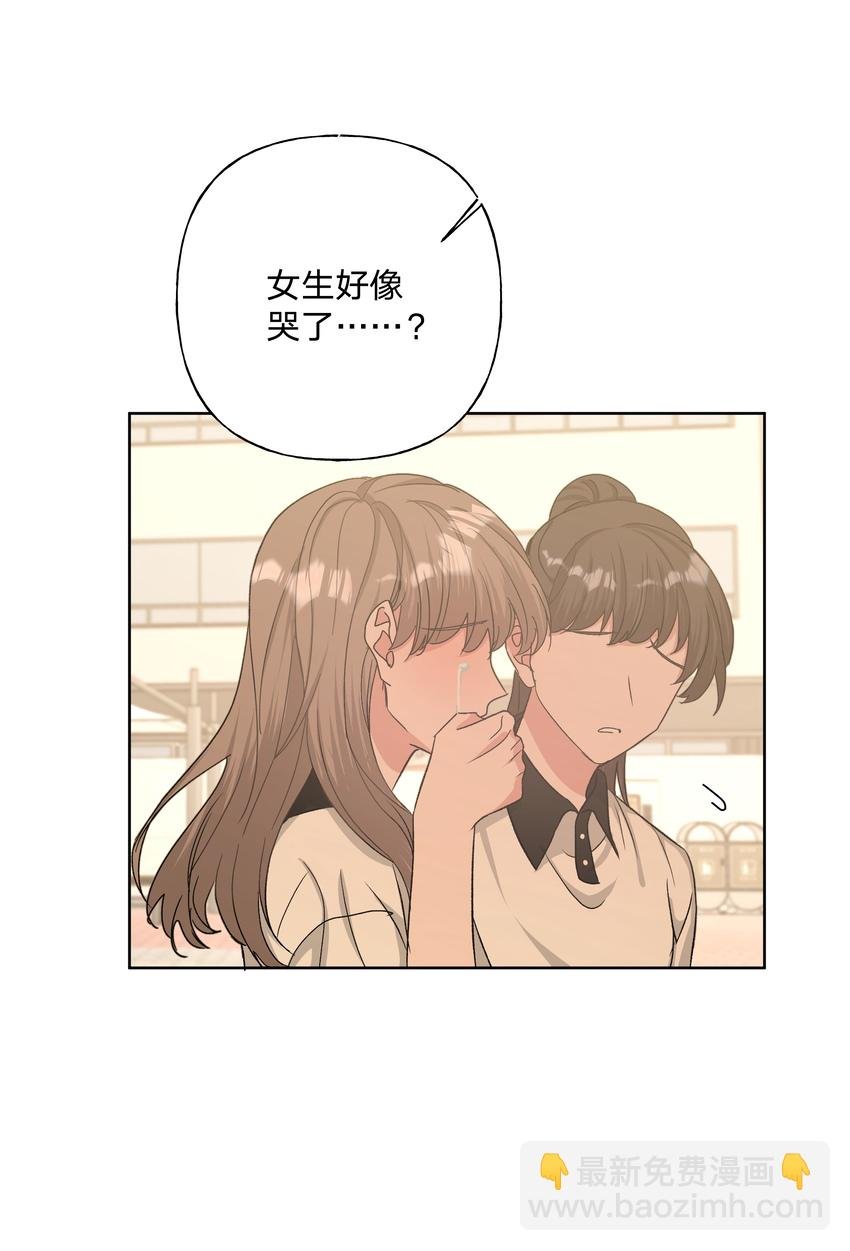 008 两只流浪猫