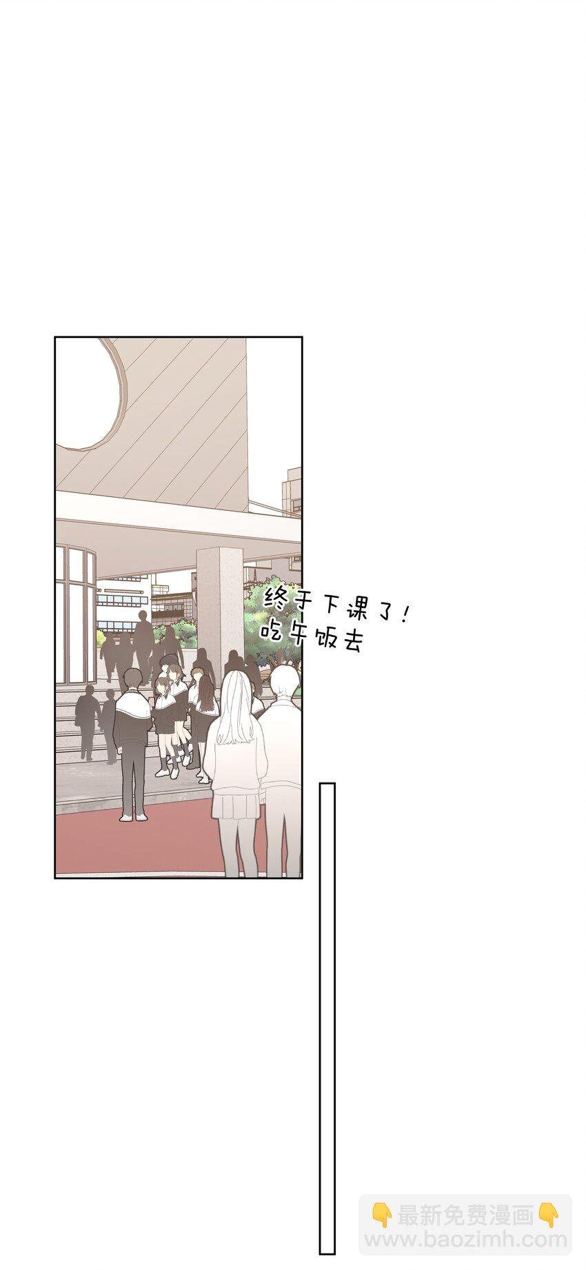008 两只流浪猫