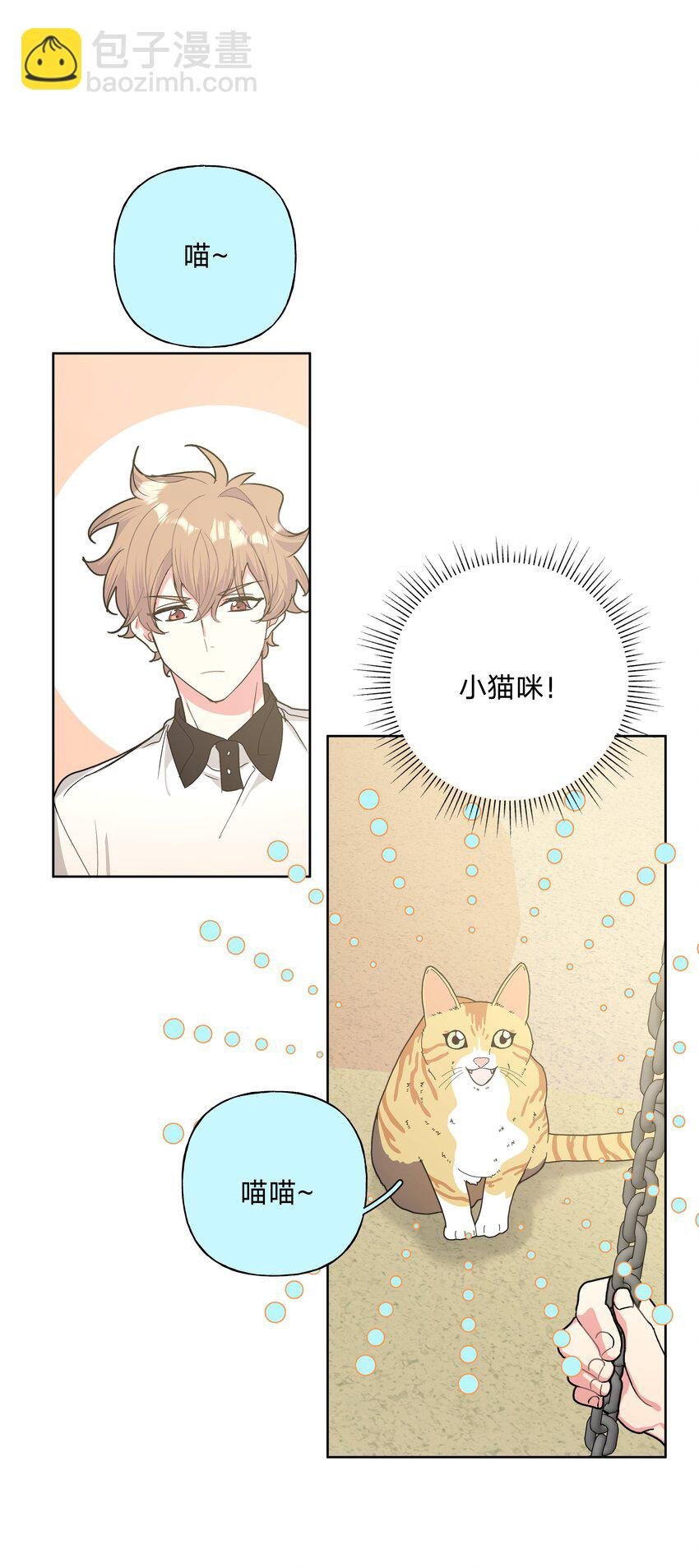 008 两只流浪猫