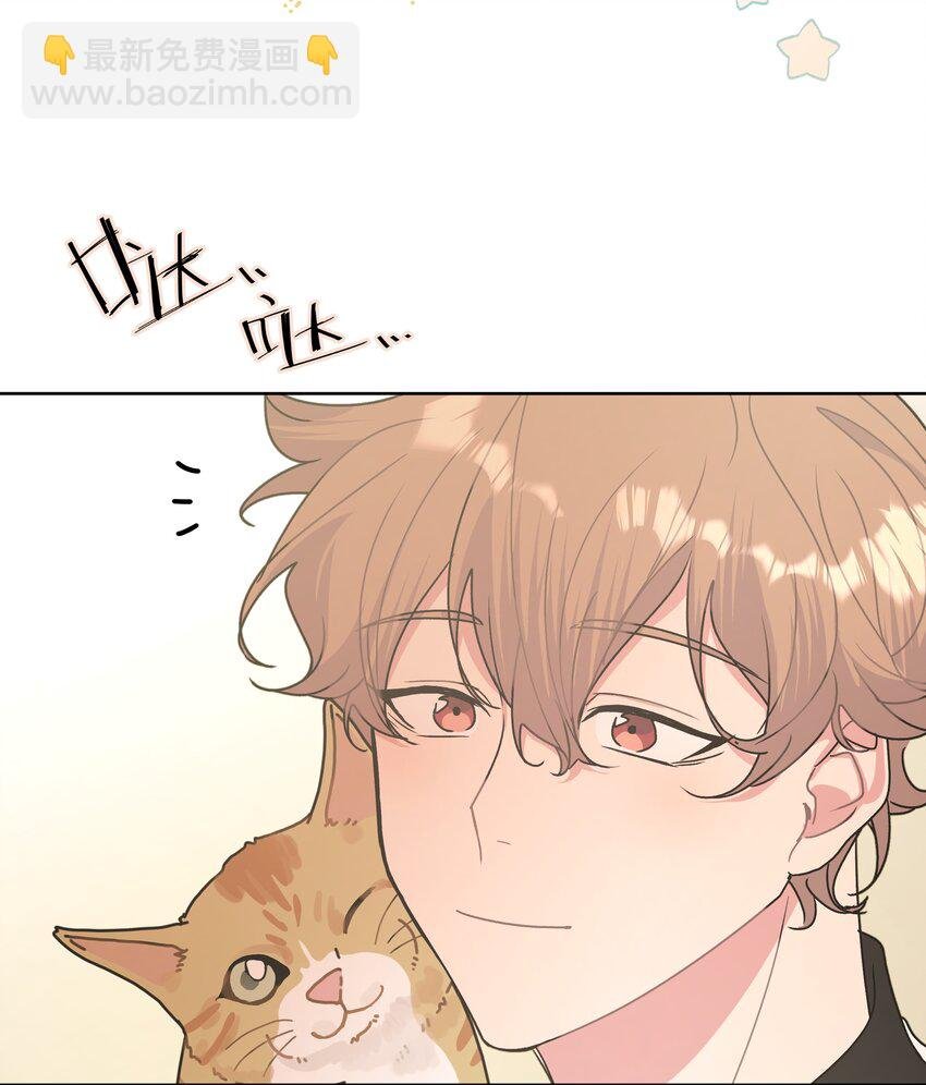 008 两只流浪猫