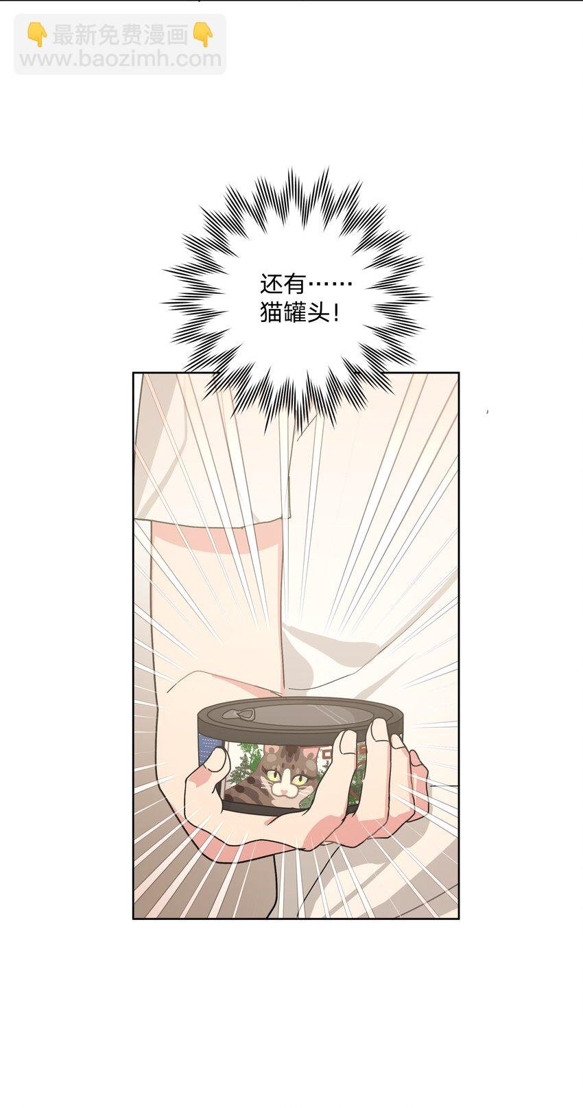 008 两只流浪猫
