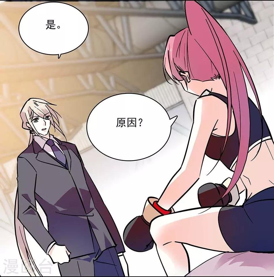 第117话 追求计划