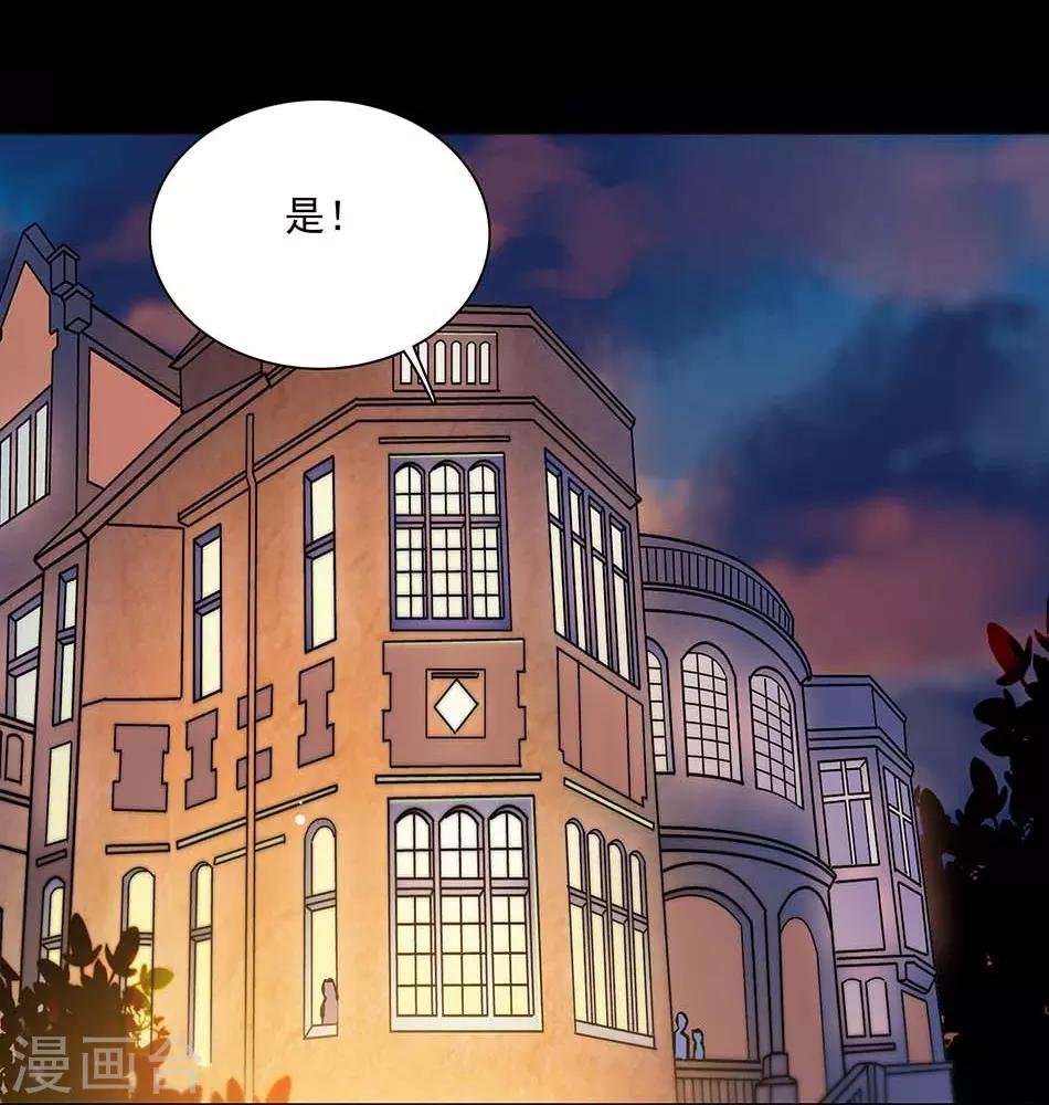 第141话 创立品牌