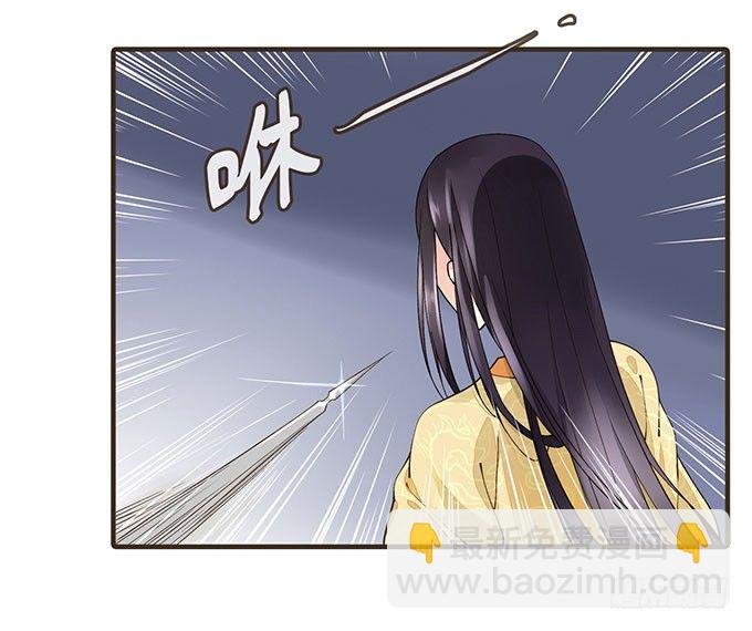 皇宫行刺