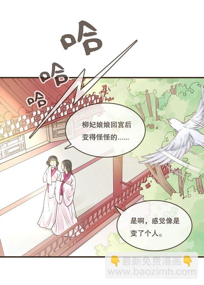 飞鸽传书