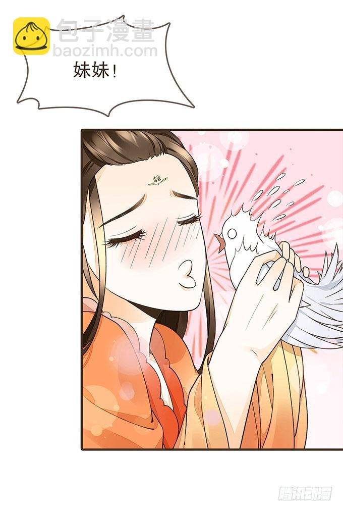 飞鸽传书