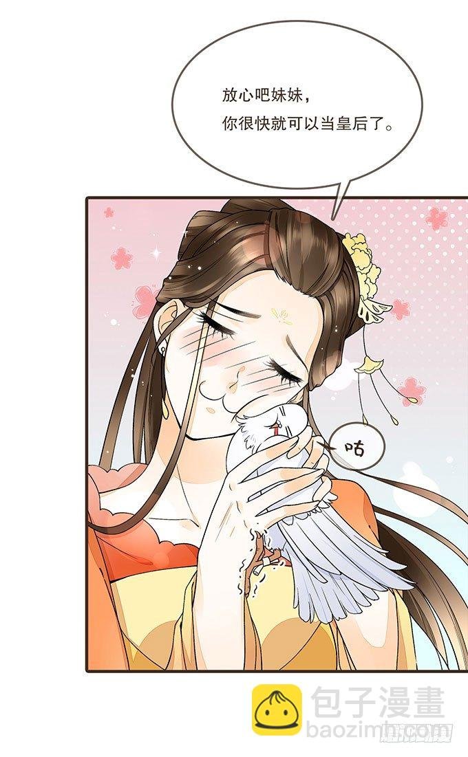 飞鸽传书