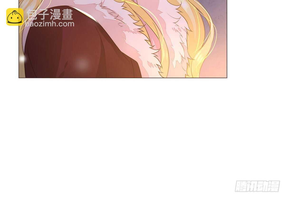 曹莽的心意
