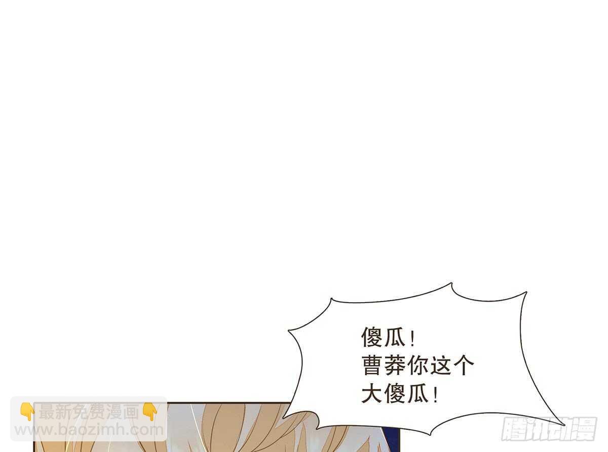 曹莽的心意