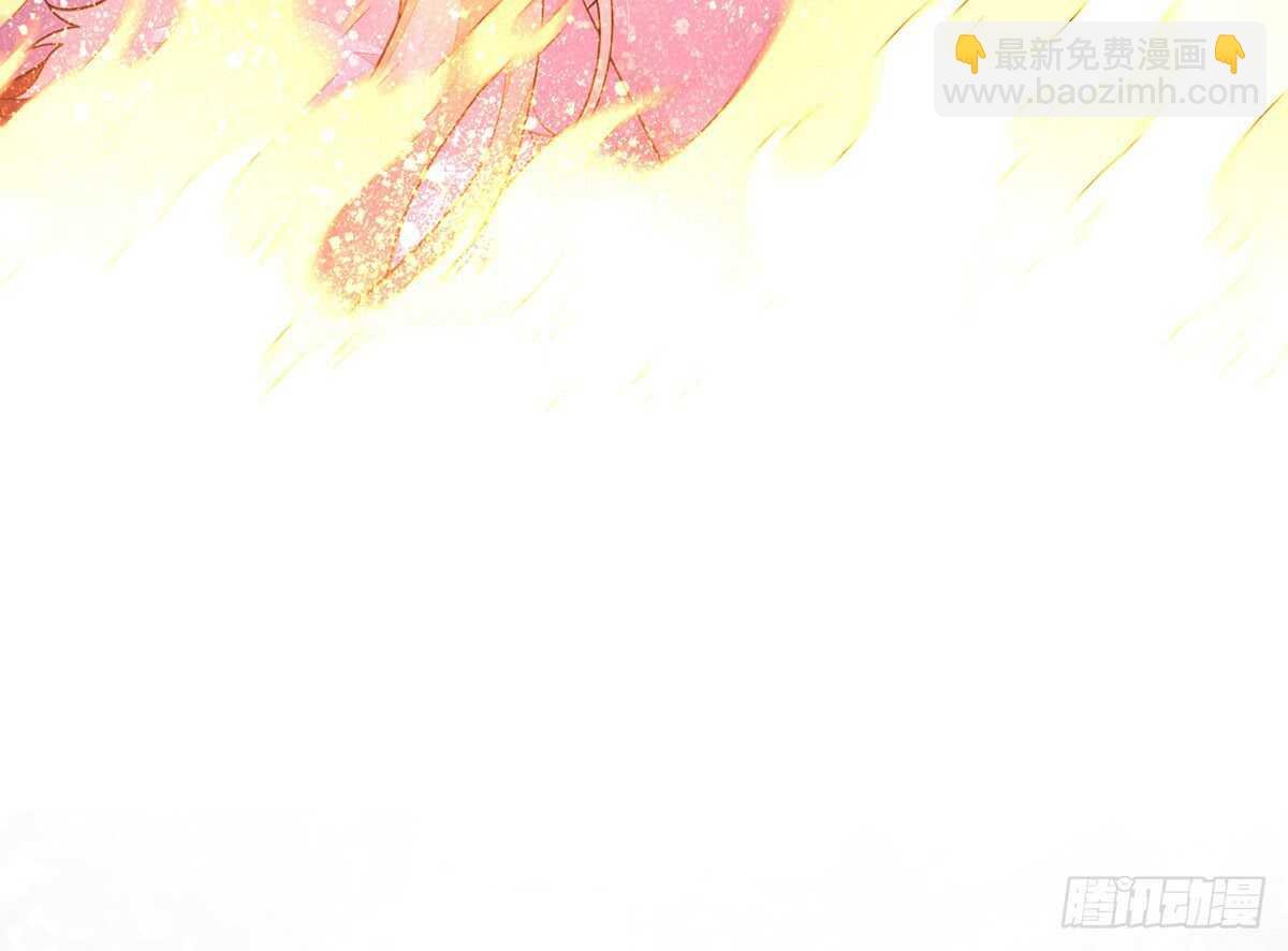 温柔的选择