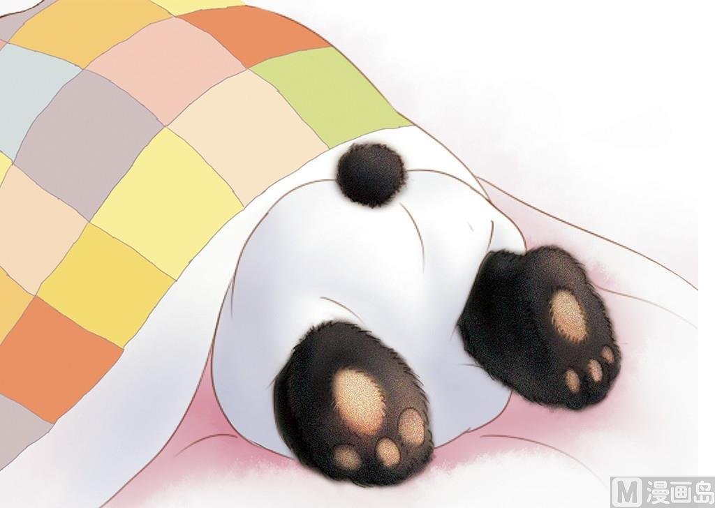 全一话