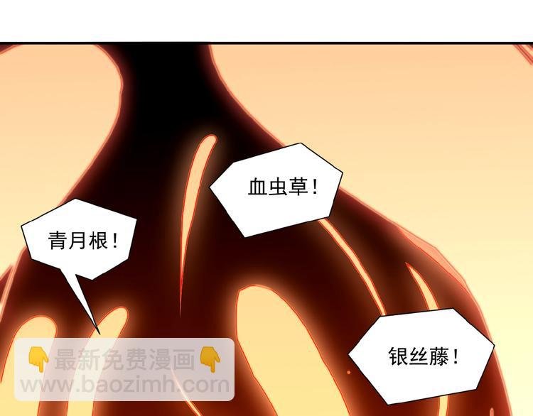 第10话 我的丹才是丹！