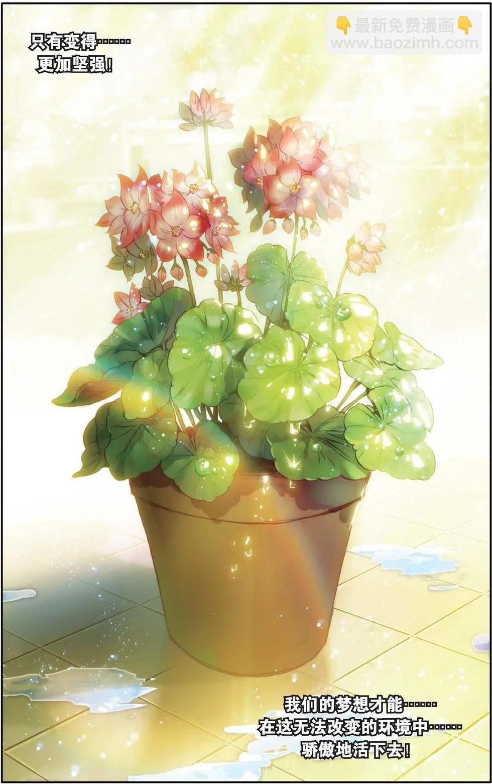 第137话 雨中要拽的花朵