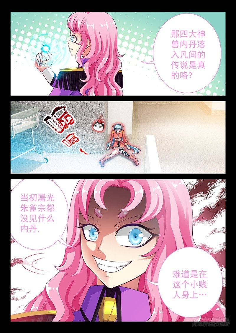 037-5 白虎内丹