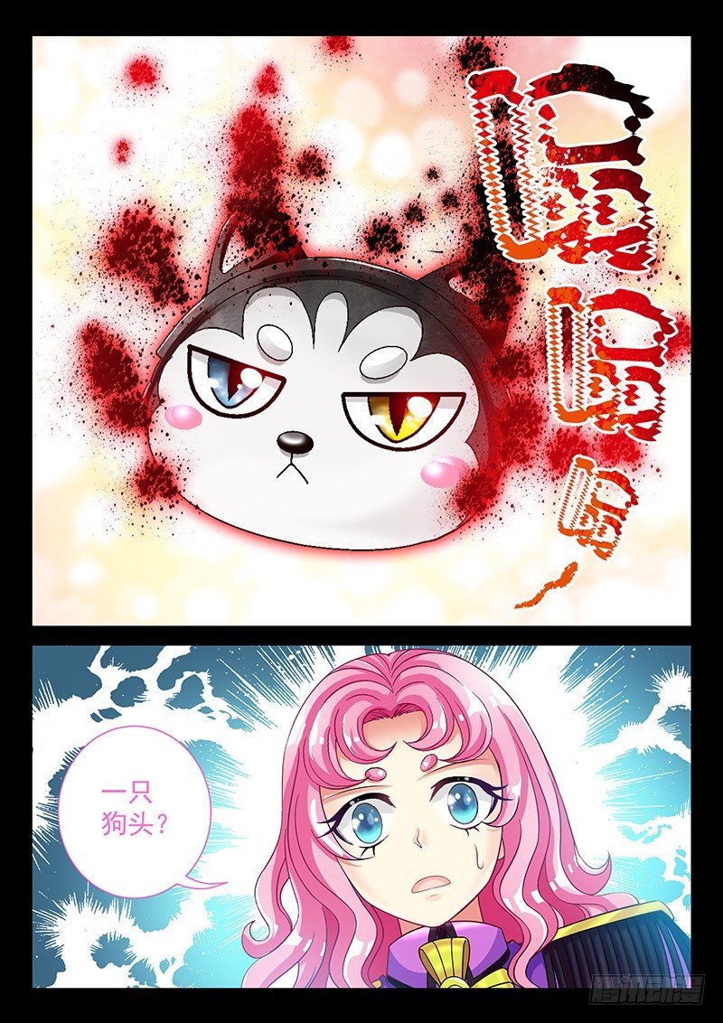 037-5 白虎内丹