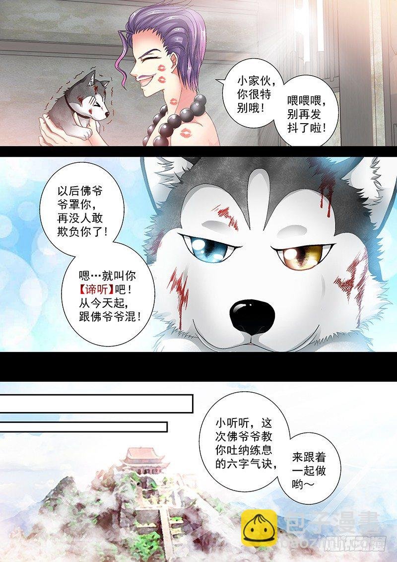 009-3 白莲花般的的痞子