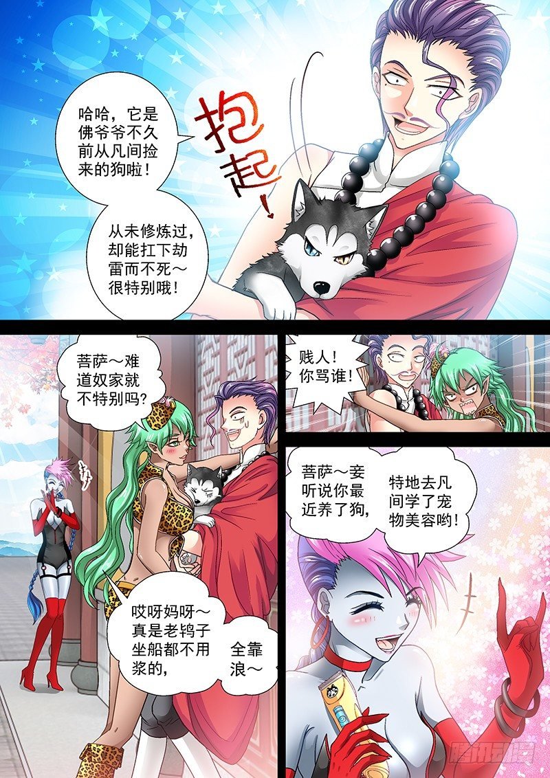 009-3 白莲花般的的痞子
