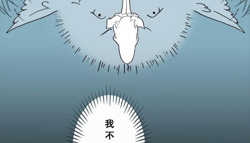 重置预告